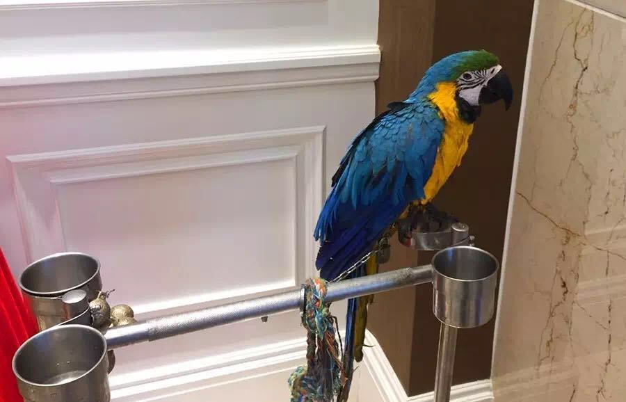 ʷ�����ȵĄ�(d��ng)��@���ȷ��˽�һ�f(w��n)�S������