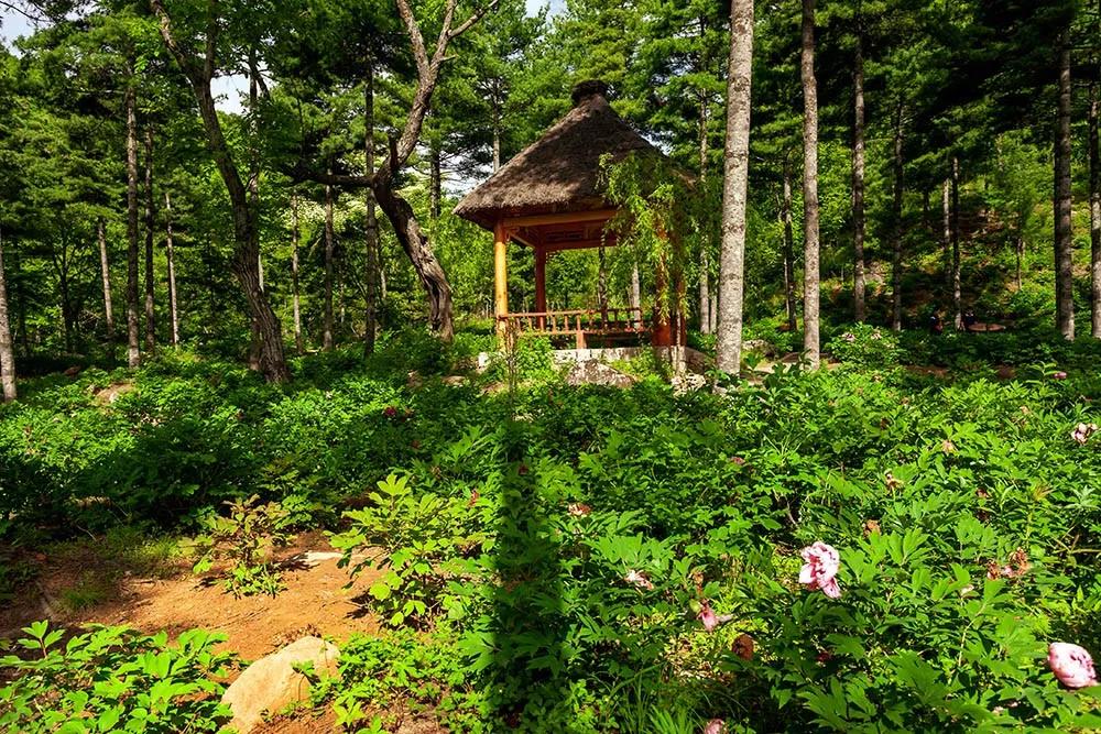 �����˺ܾõĴ����������(y��ng)����ɽ���ڶ���